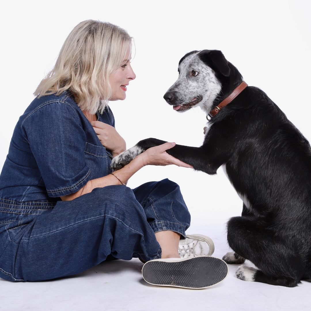Barking Workshop