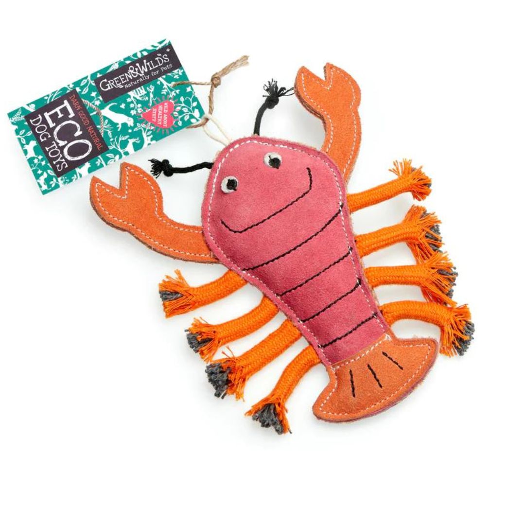 Larry the Lobster - House Of Dog