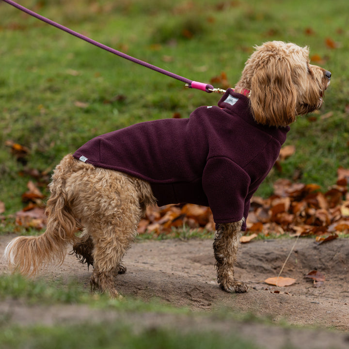 Cockapoo Dog Coat