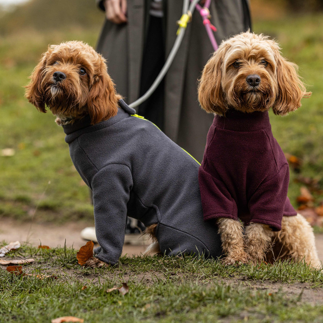 Cockapoo Dog Coat