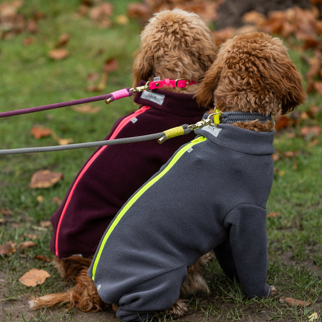 Cockapoo Dog Coat