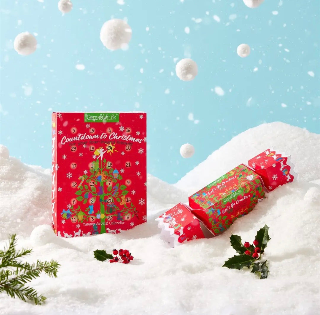 Dog Advent Calendar