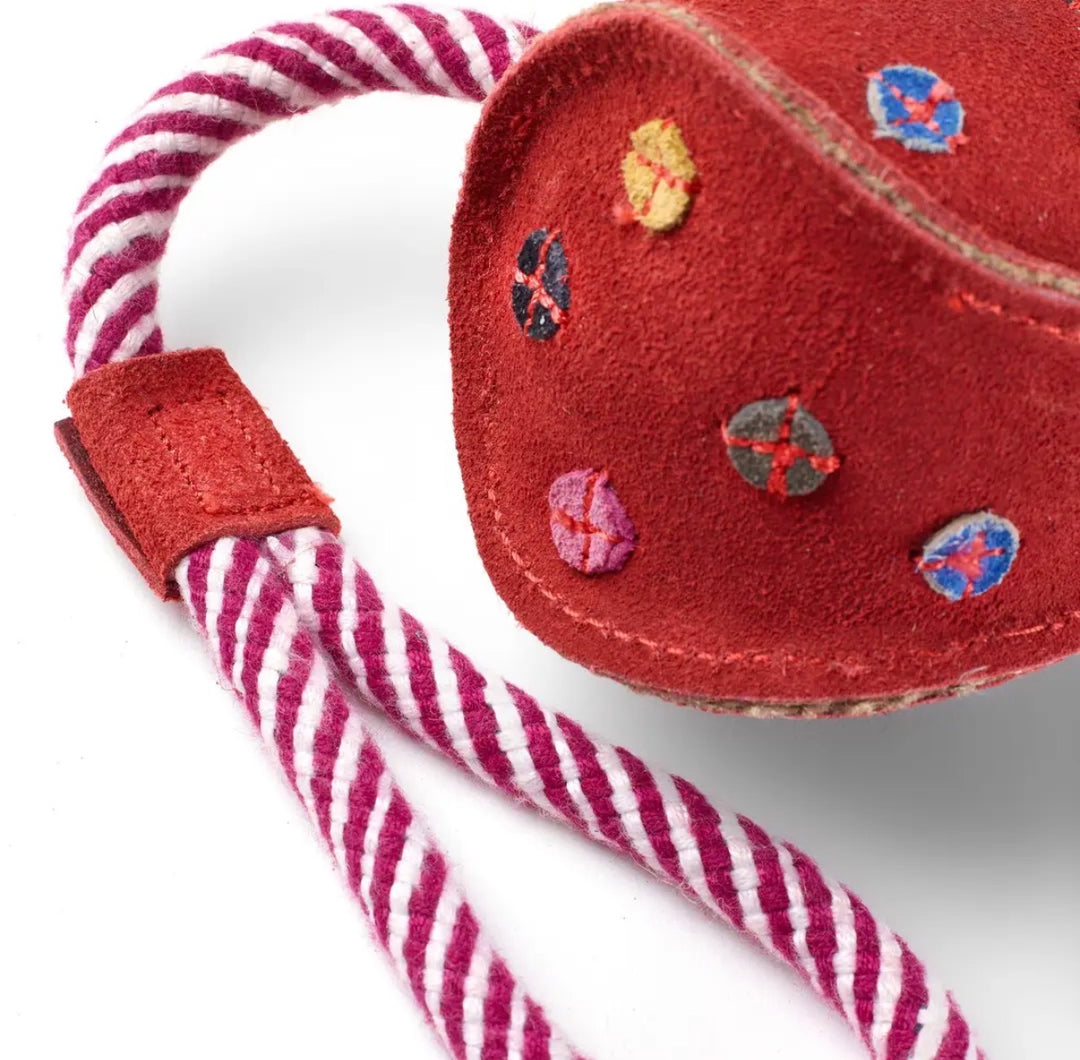 Eco Dog Toy - Monsieur Bauble