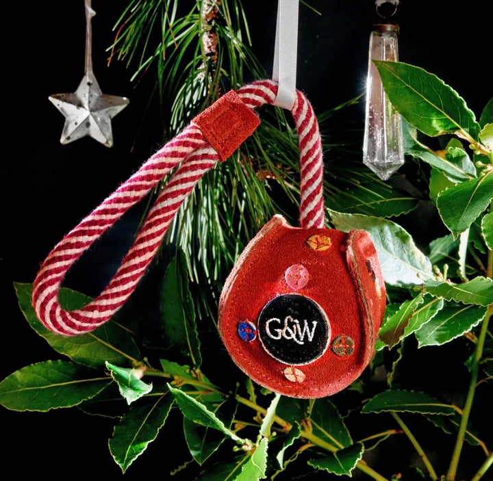 Eco Dog Toy - Monsieur Bauble