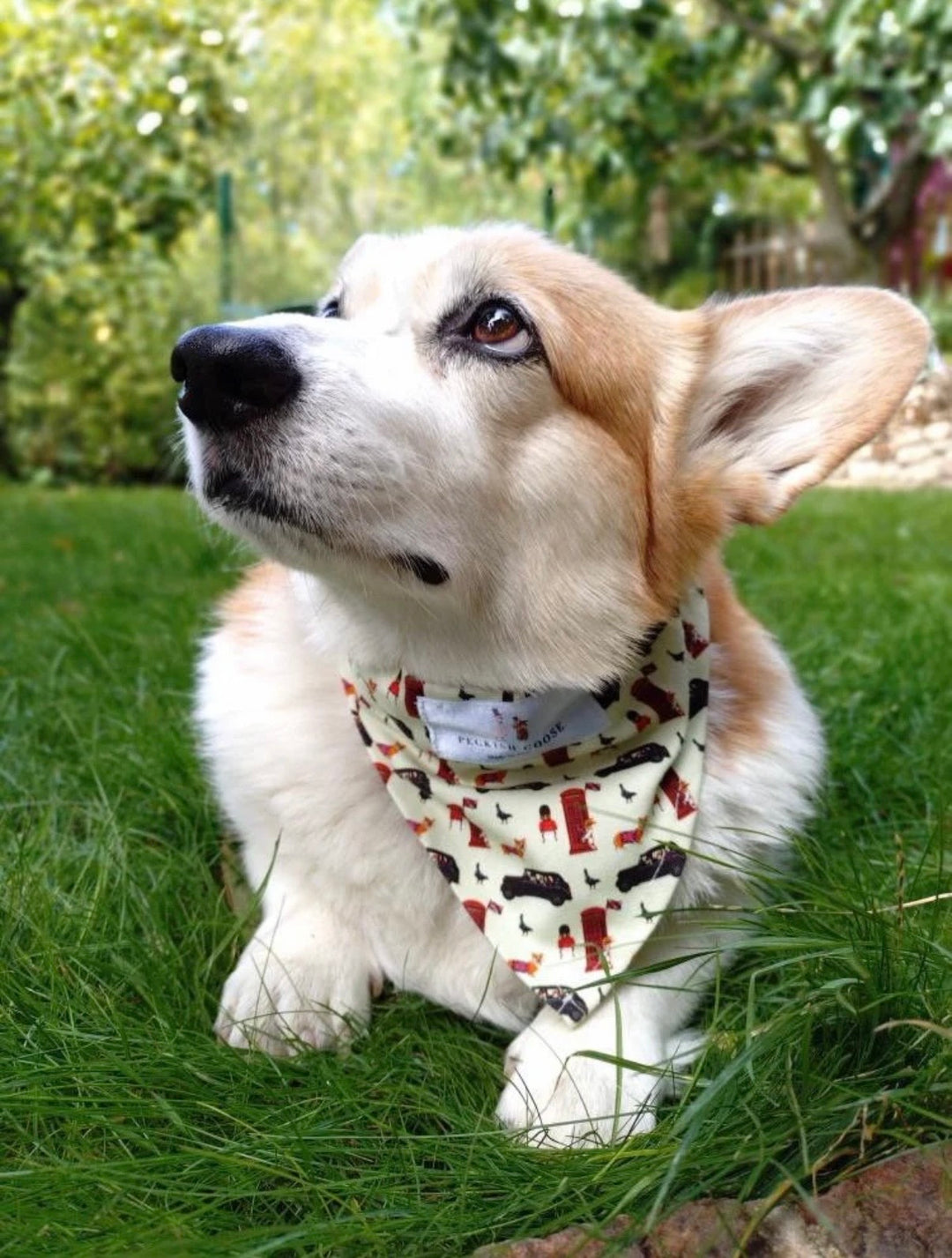 Quintessentially British Dog Bandana