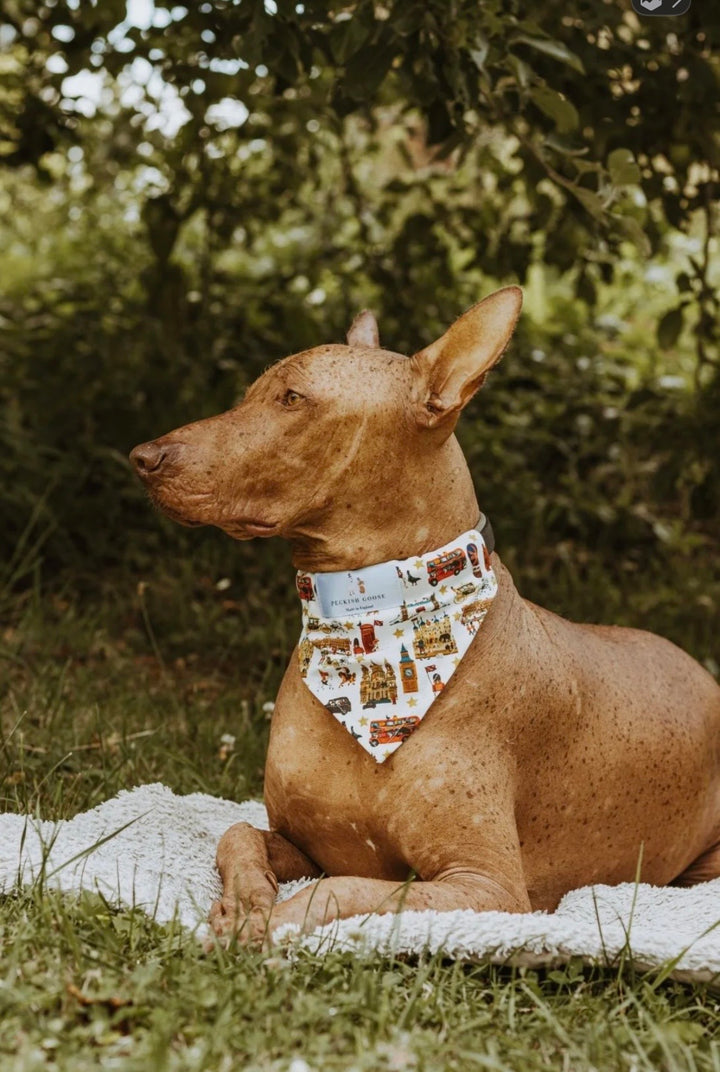 White London Dog Bandana