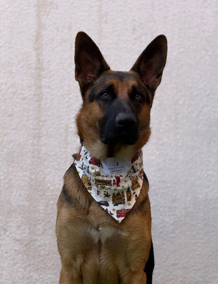 White London Dog Bandana