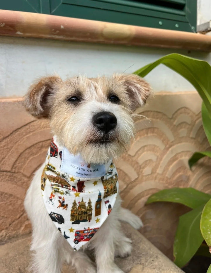 White London Dog Bandana
