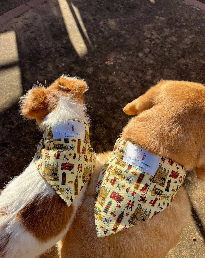 Royally London Dog Bandana