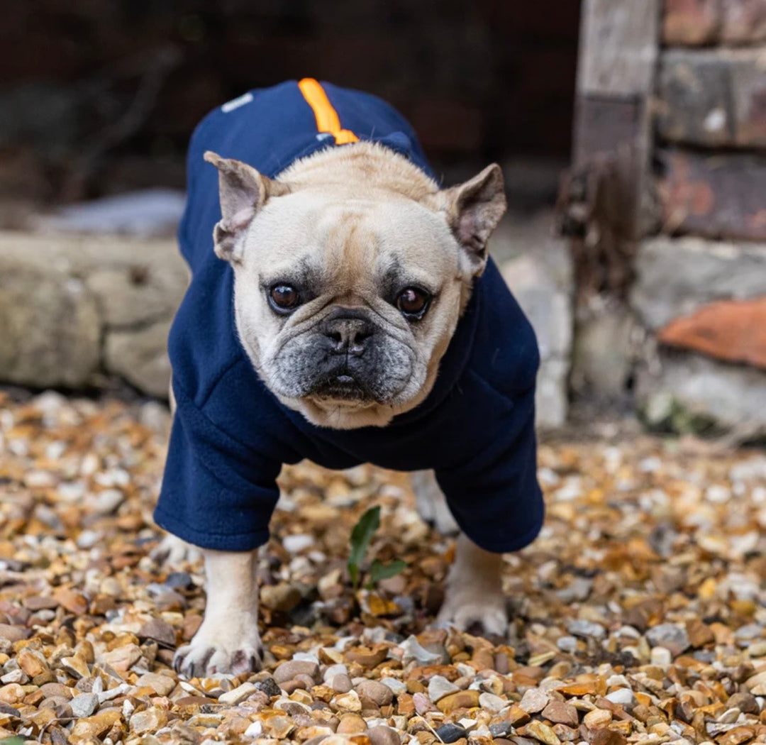 French Bulldog Dog Coat