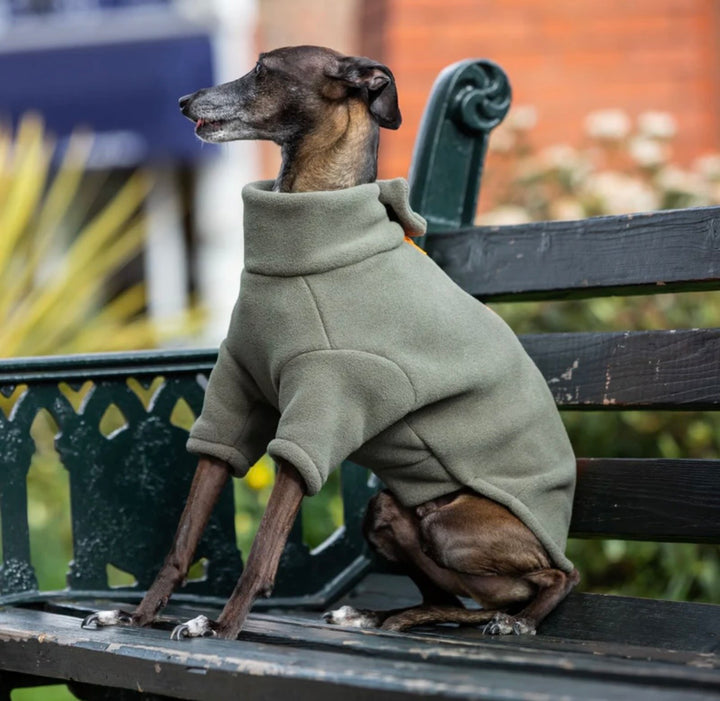 Italian Greyhound Dog Coat
