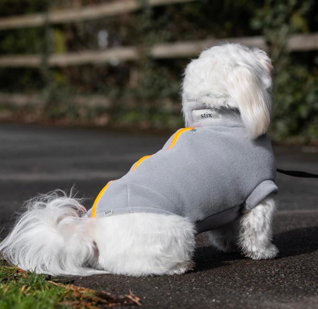 Maltese Dog Coat