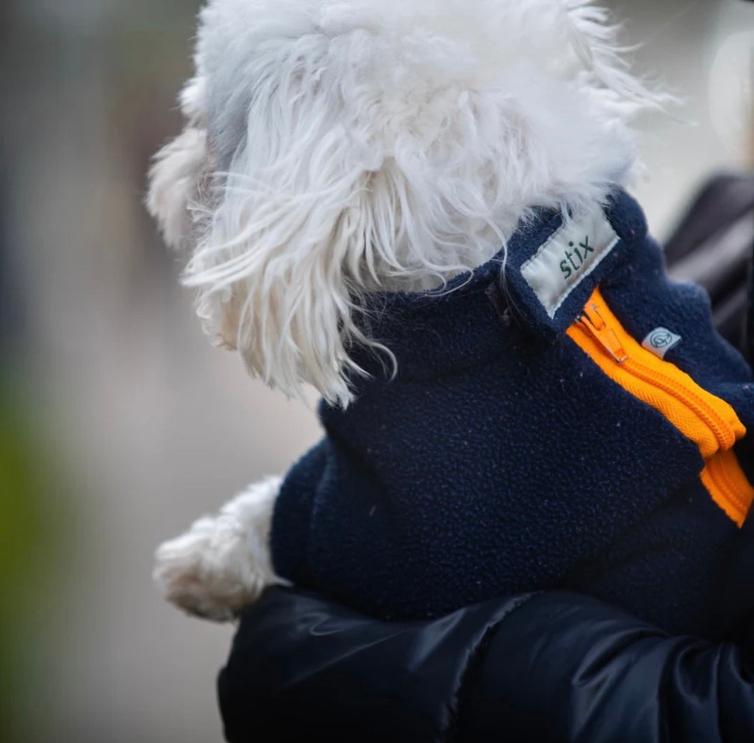 Maltipoo Dog Coat