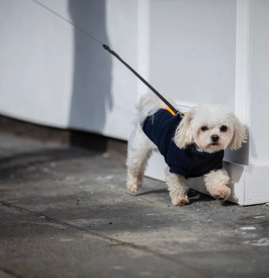 Maltipoo Dog Coat