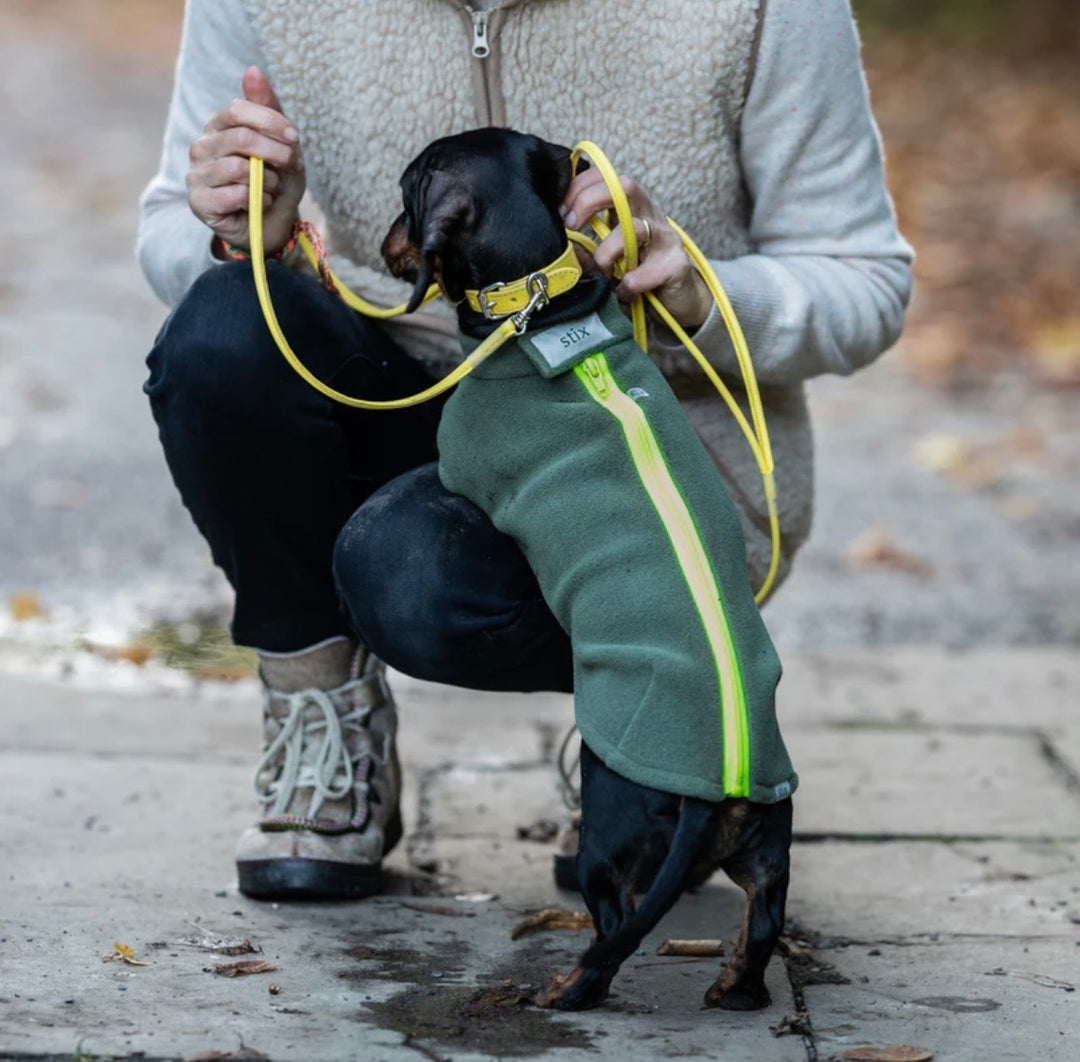 Miniature Dachshund Dog Coat