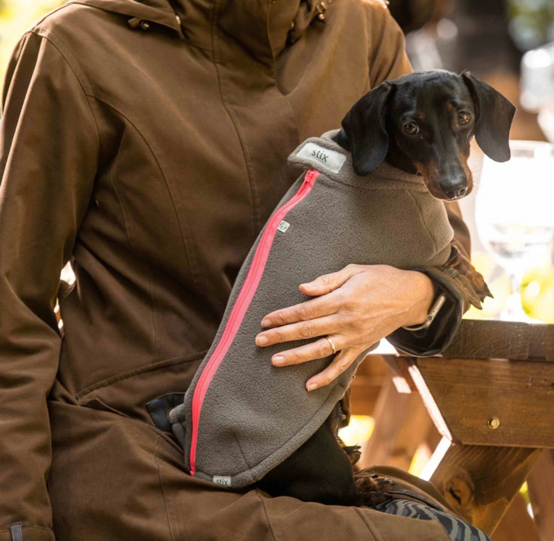 Miniature Dachshund Dog Coat