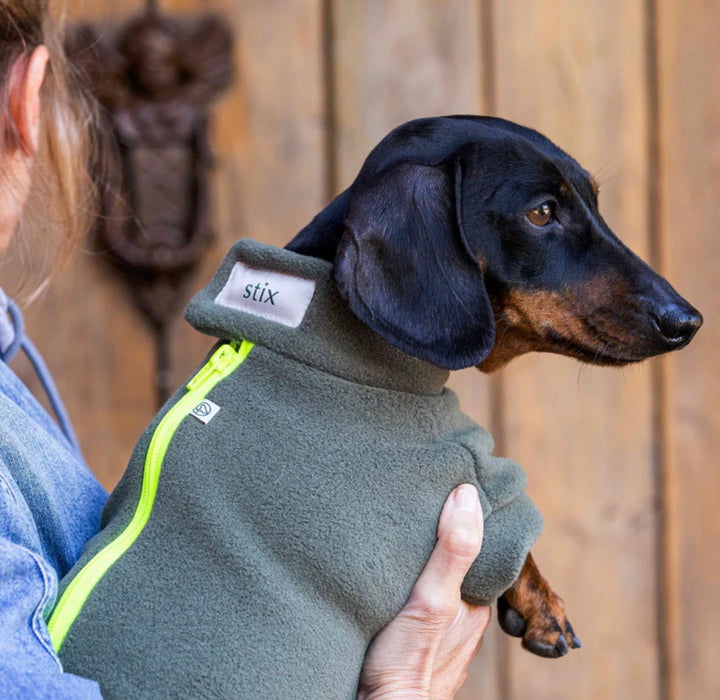 Miniature Dachshund Dog Coat