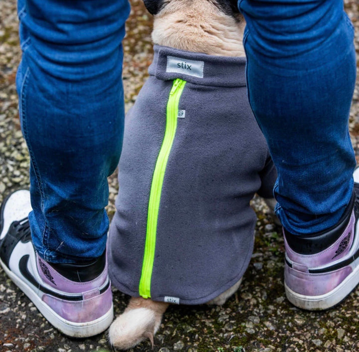 Pug Dog Coat