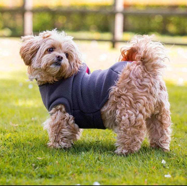 Shih Tzu Dog Coat