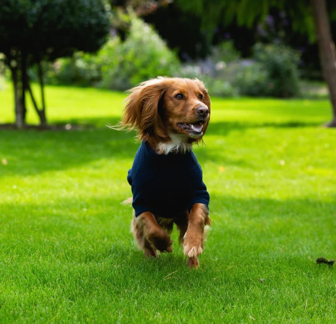 Spaniel Dog Coats