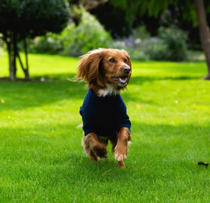 Spaniel Dog Coats