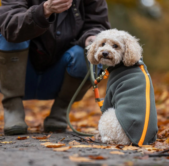 Toy Poodle Dog Coat