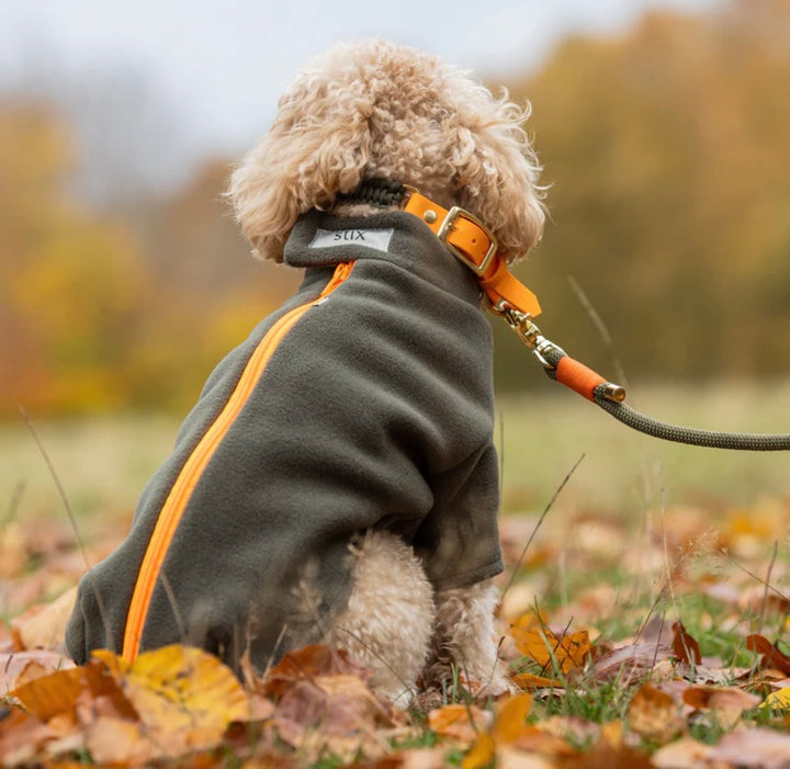 Toy Poodle Dog Coat