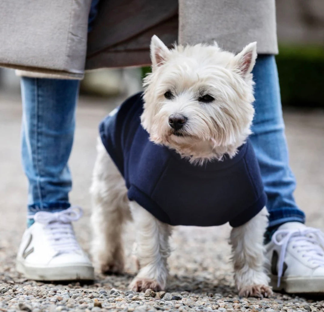 Westie Dog Coat