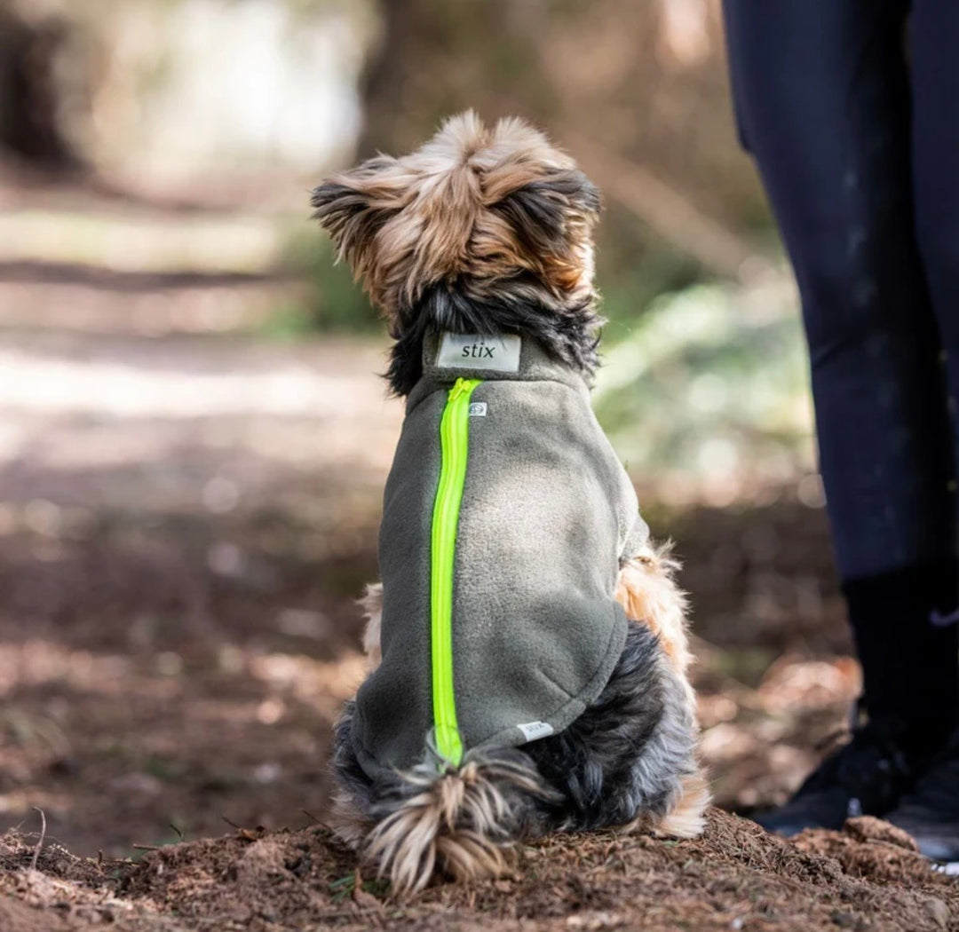 Yorkshire Terrier Dog Coat