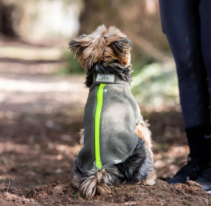Yorkshire Terrier Dog Coat