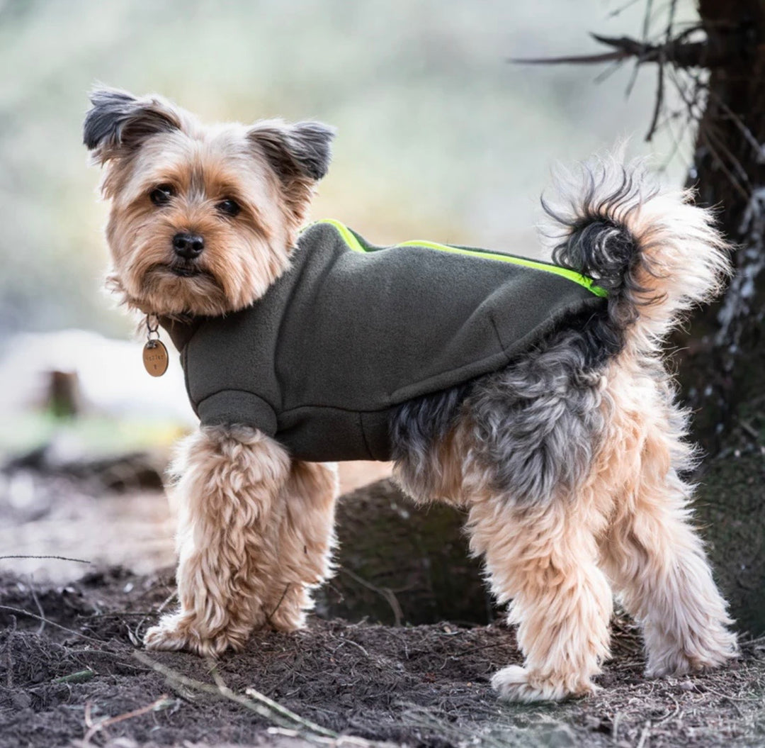 Yorkshire Terrier Dog Coat