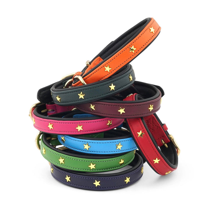 Luxury Leather Dog Collar Star Studs