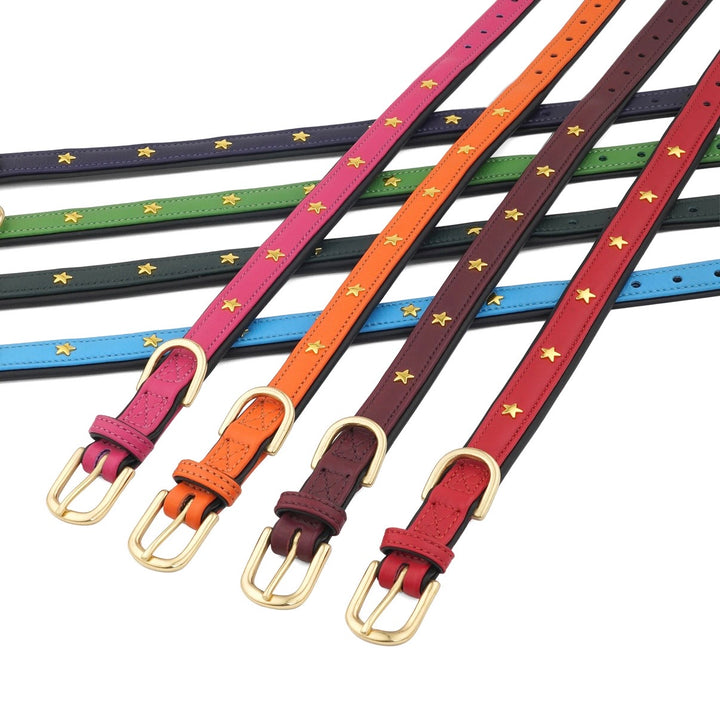 Luxury Leather Dog Collar Star Studs