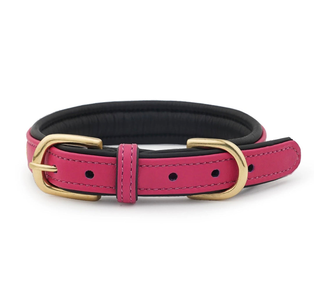 Luxury Leather Dog Collar Star Studs
