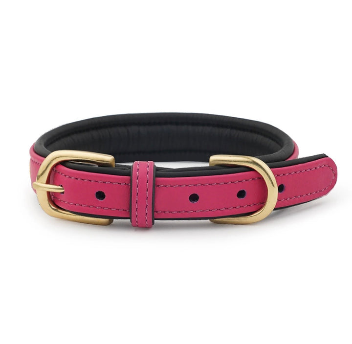 Luxury Leather Dog Collar Star Studs