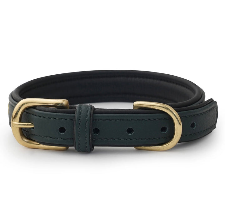 Luxury Leather Dog Collar Star Studs