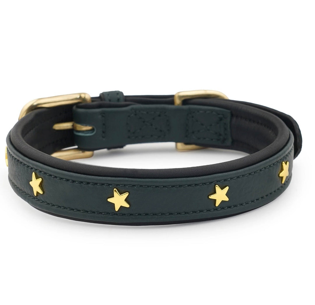Luxury Leather Dog Collar Star Studs