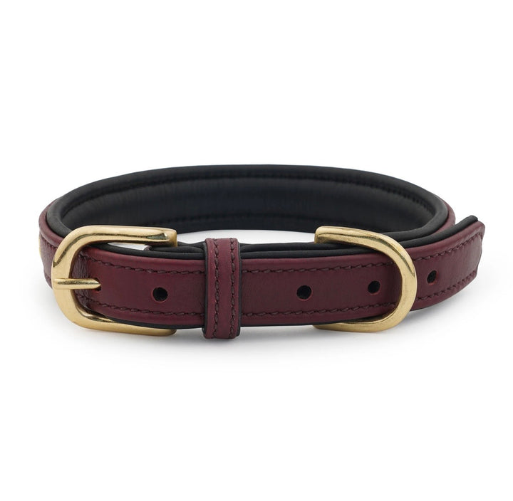 Luxury Leather Dog Collar Star Studs