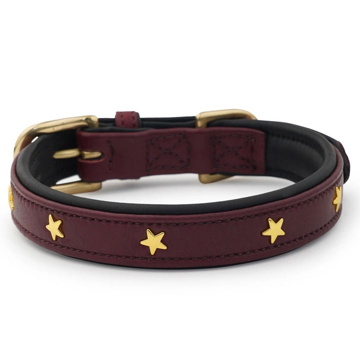 Luxury Leather Dog Collar Star Studs