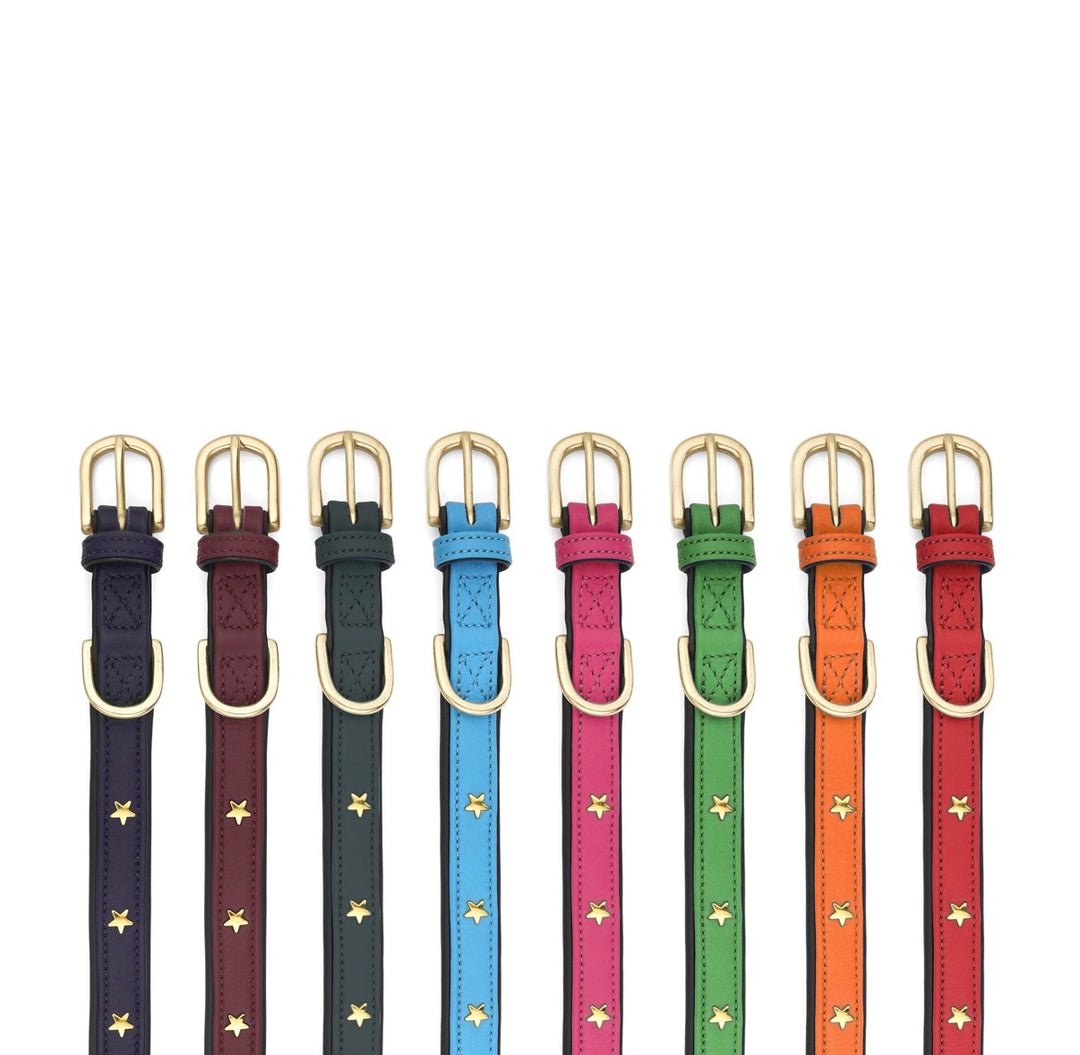 Luxury Leather Dog Collar Star Studs