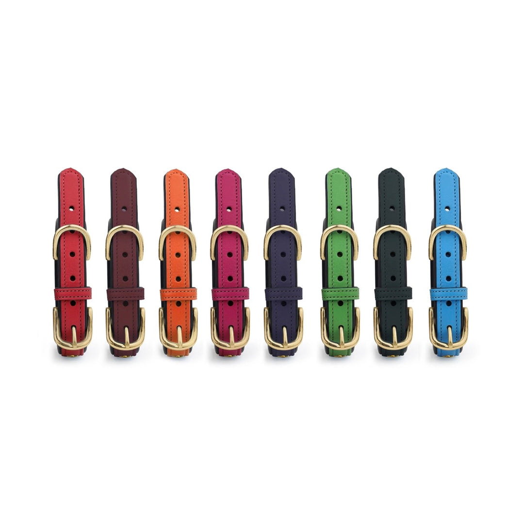 Luxury Leather Dog Collar Star Studs