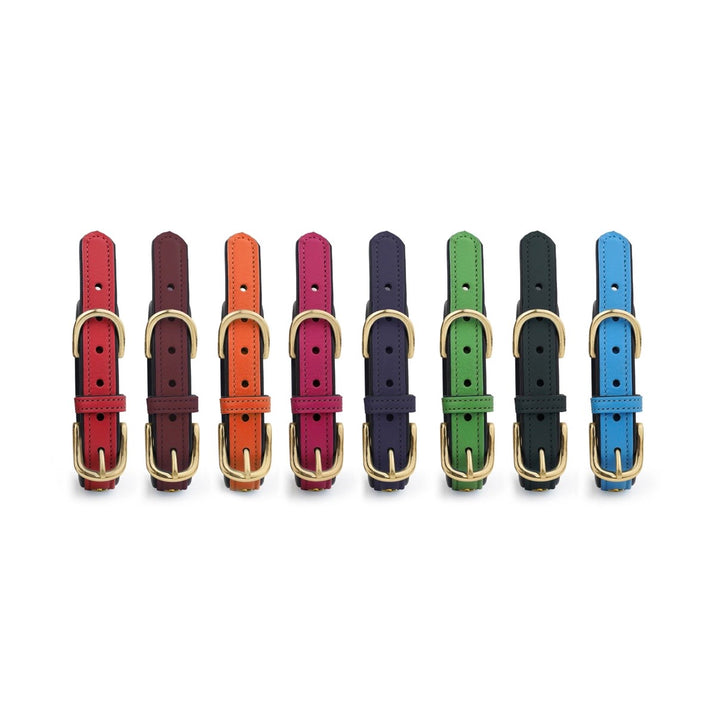 Luxury Leather Dog Collar Star Studs