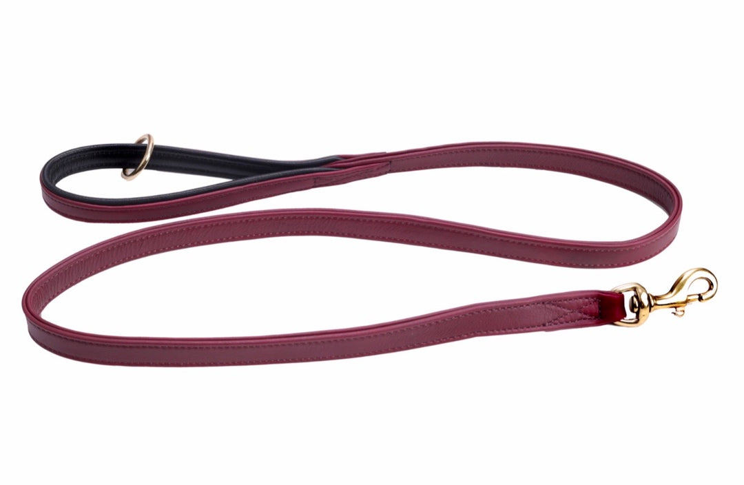 Luxury Leather Dog Leads