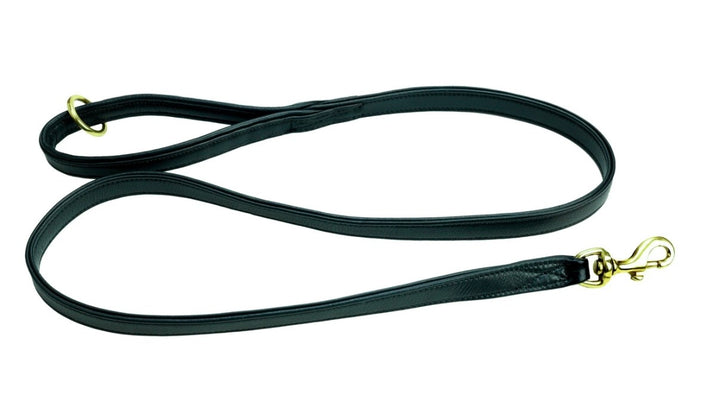 Luxury Leather Dog Leads
