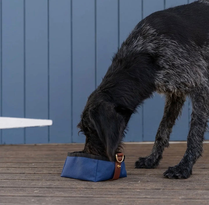 Foldable Travel Bowl