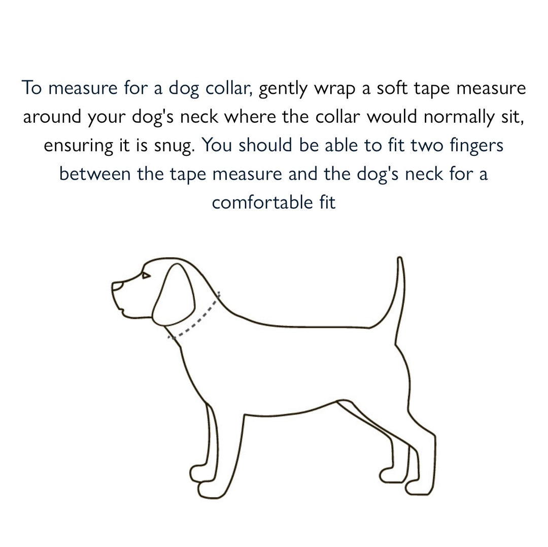 All Terrain Canvas Collar