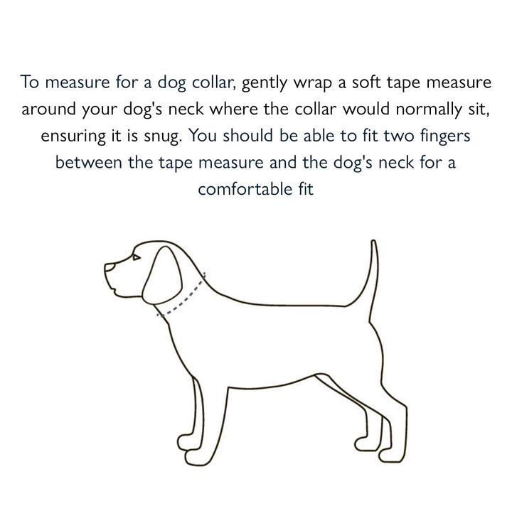 All Terrain Canvas Collar