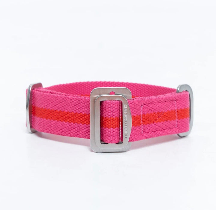 All Terrain Canvas Collar
