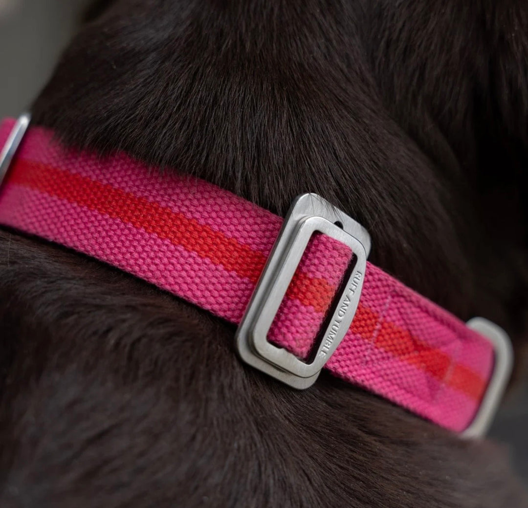 All Terrain Canvas Collar