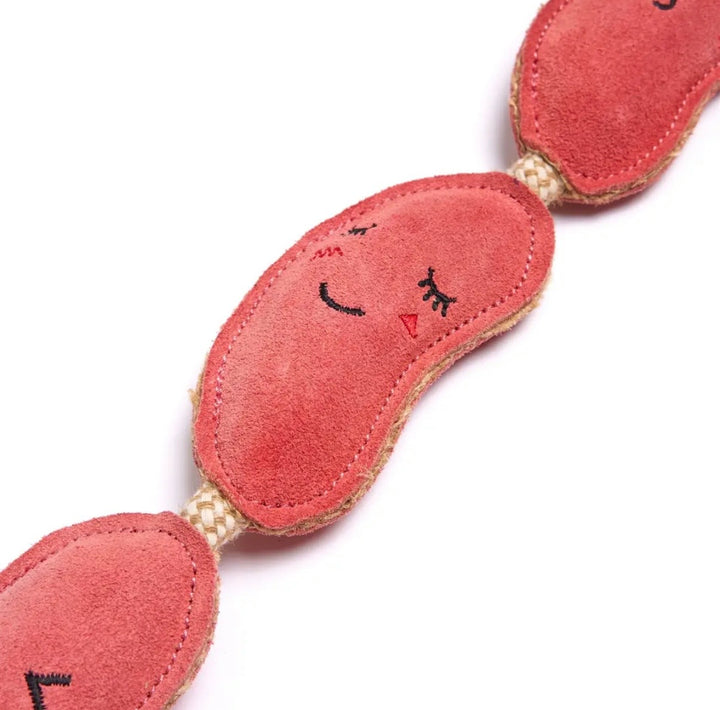 Eco Dog Toy - Sizzle Sisters